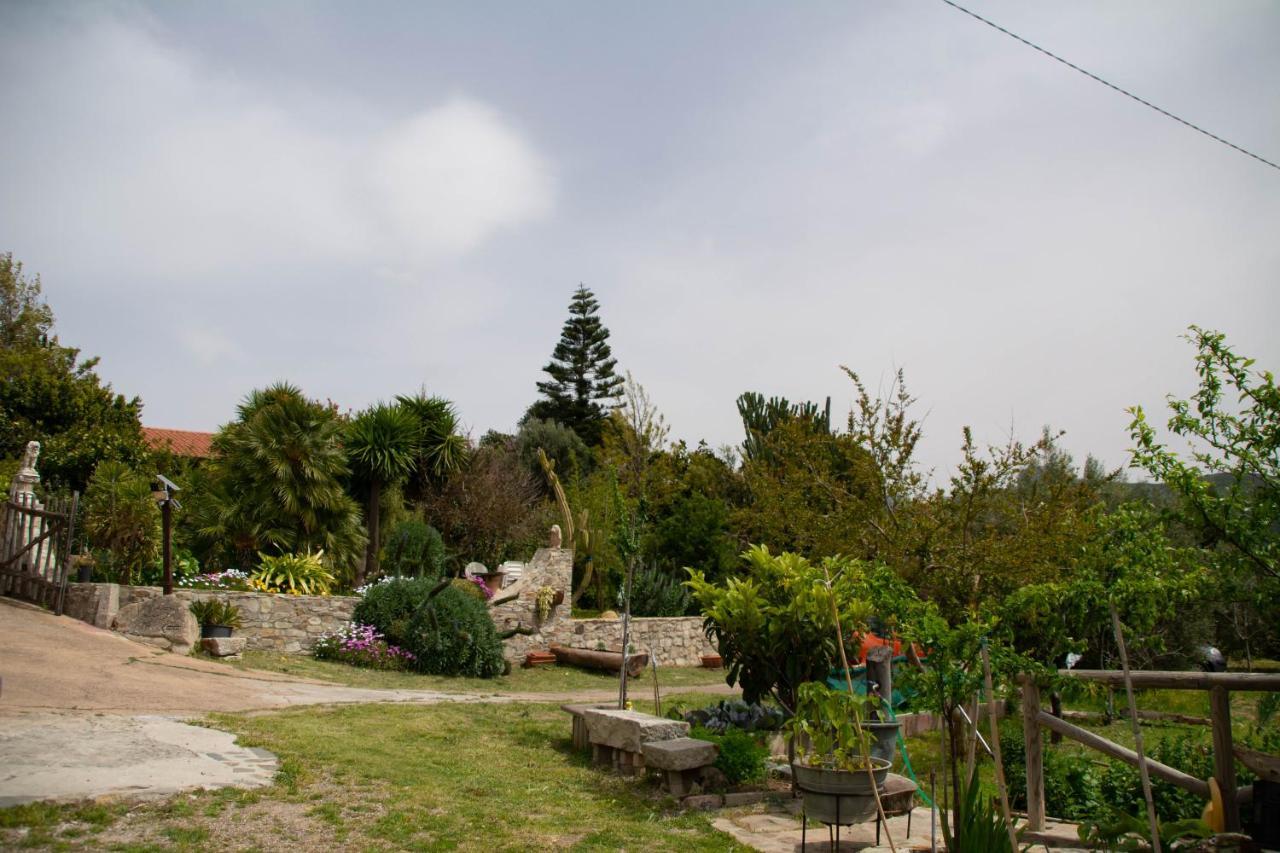 B&B Il Giardino Arbus Luaran gambar